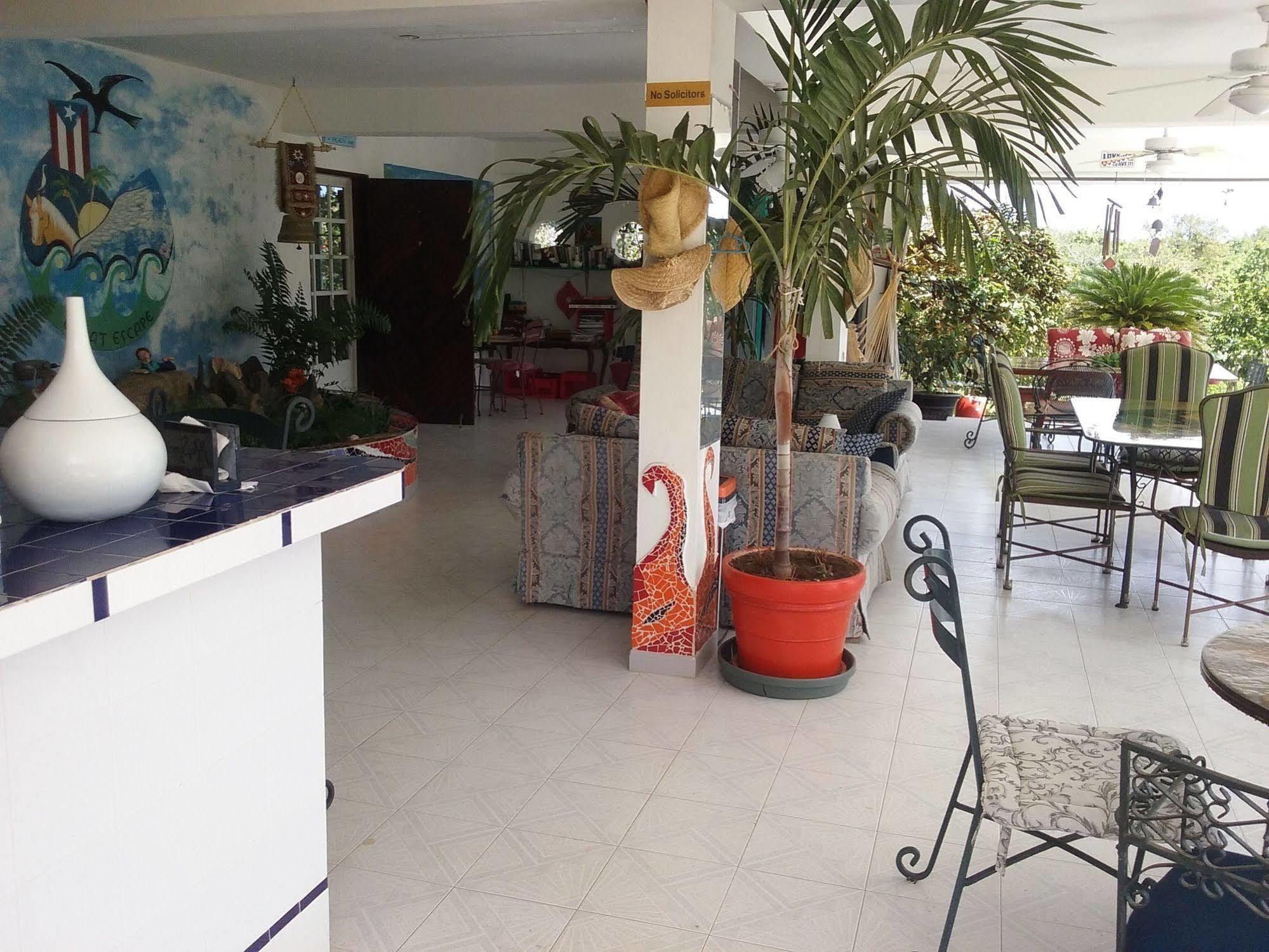 Great Escape Hotel Vieques Bagian luar foto